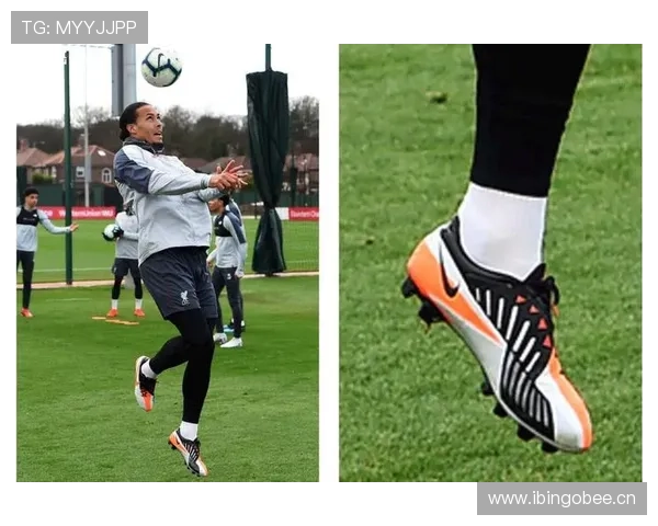 范迪克那双鞋比我家半年房租还贵