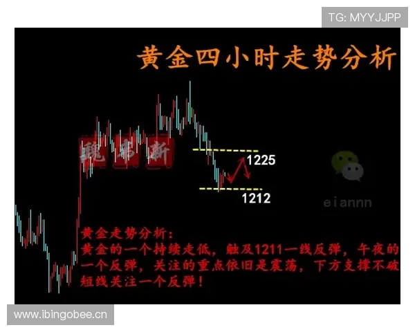 如何准确判定起跳接触算不算犯规？一次说清三大争议情况